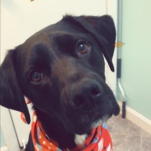 Meet your Posher, Brianna